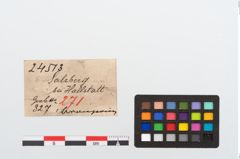 Etikett zu Bronzering (NHMW-PRAE-024513)